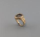Ancient Celtic Pony Coin 14kt Gold Ring
