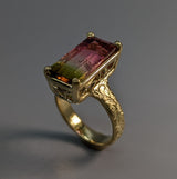 Bi-Color Tourmaline, 14kt Gold Ring