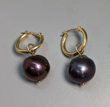 Large Round Dark Freshwater Pearl, 14kt Gold Earrings