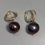 Large Round Dark Freshwater Pearl, 14kt Gold Earrings