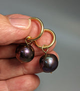 Large Round Dark Freshwater Pearl, 14kt Gold Earrings