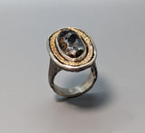 Pallasite Meteorite, Sterling Silver Ring with 14kt Gold Rim