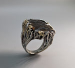 Pallasite Meteorite, Sterling Silver and 14kt Gold Ring