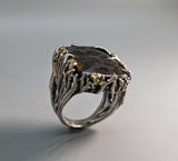 Pallasite Meteorite, Sterling Silver and 14kt Gold Ring