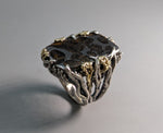 Pallasite Meteorite, Sterling Silver and 14kt Gold Ring