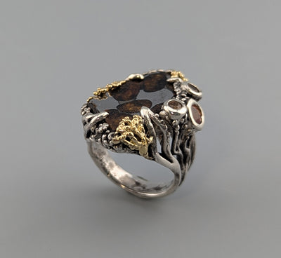 Pallasite Meteorite, Sterling Silver and 14kt Gold Ring