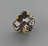 Pallasite Meteorite, Sterling Silver and 14kt Gold Ring