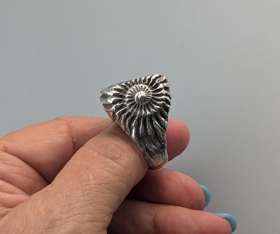 Pallasite Meteorite, Sterling Silver Large Ring