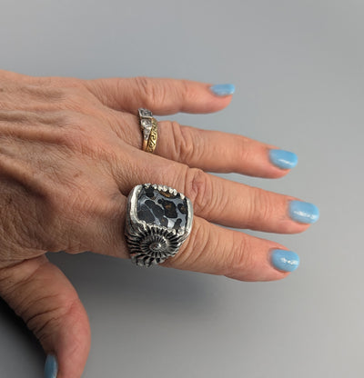 Pallasite Meteorite, Sterling Silver Large Ring