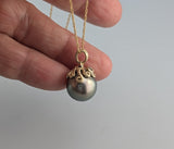 South Seas Pearl, 14kt Gold Octopus Pendant