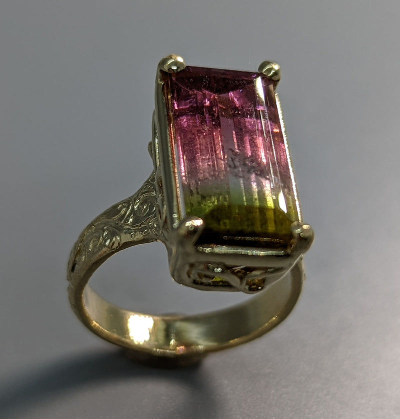 Bi-Color Tourmaline, 14kt Gold Ring