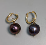 Large Round Dark Freshwater Pearl, 14kt Gold Earrings