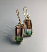 Bi-Color Tourmaline, 14kt Gold Earrings