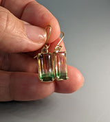 Bi-Color Tourmaline, 14kt Gold Earrings